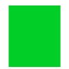 Generic Muslin Background 3 X 6M Plain - Chroma Green Light Stands, Backgrounds & Mounting