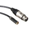 Blackmagic Blackmagic Design Set Of 2 Mini Xlr To Xlr Audio Cables For Video Assist 4K Audio Cables & Adapters