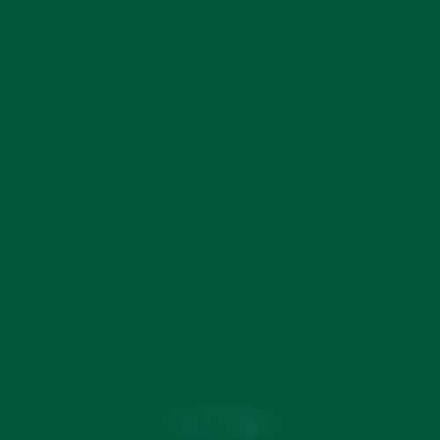 Superior Superior Background 12 - 2.72 X 11M - Deep Green Light Stands, Backgrounds & Mounting