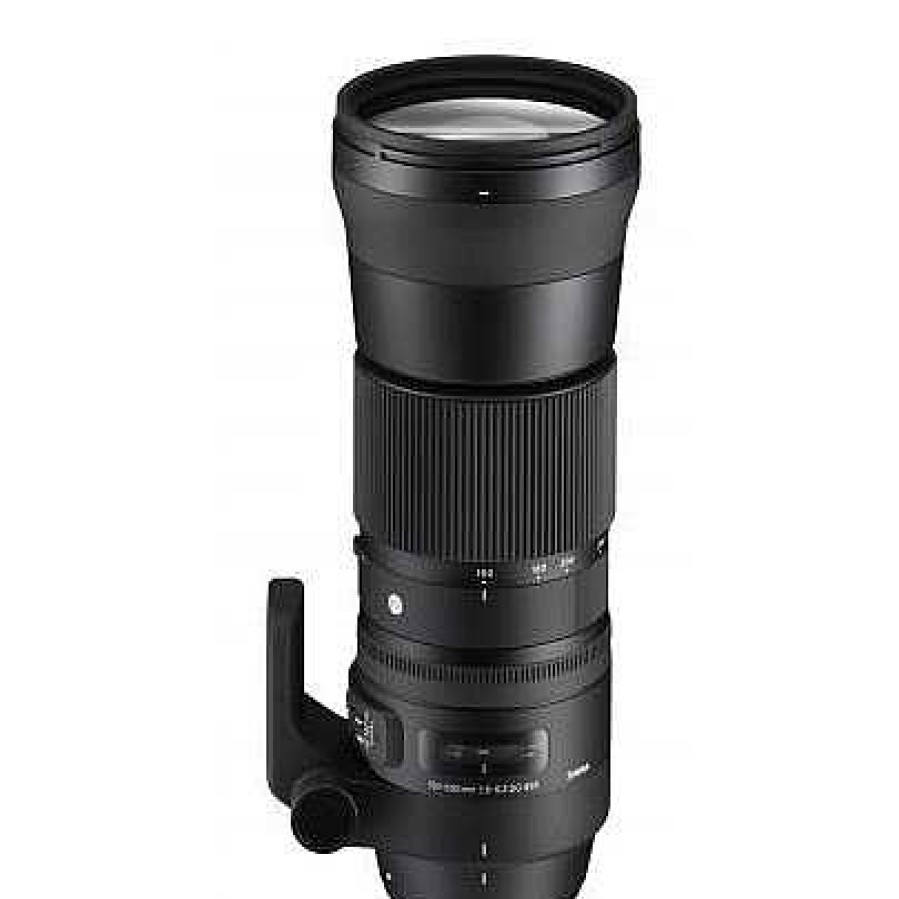 Sigma Sigma 150-600Mm F/5-6.3 Dg Os Hsm Lens - Contemporary - Nikon Nikon F Mount